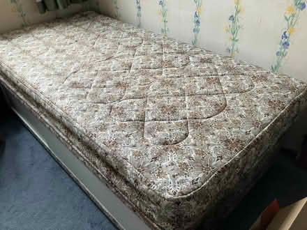 Photo of free Single divan bed (Theydon Bois CM16) #1