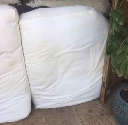 Photo of free large sofa cushions/dog bed? (Blagdon BS40) #4