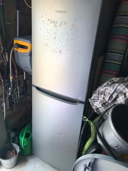 Photo of free Hotpoint frost free fridge freezer (Scarborough YO12) #1