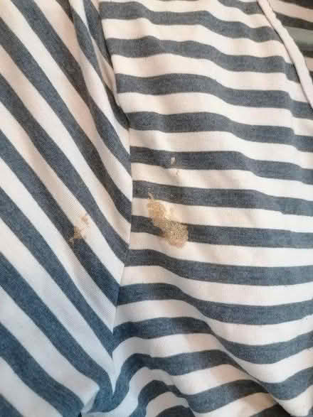 Photo of free 4 x breastfeeding dresses (Radcliffe M26) #1