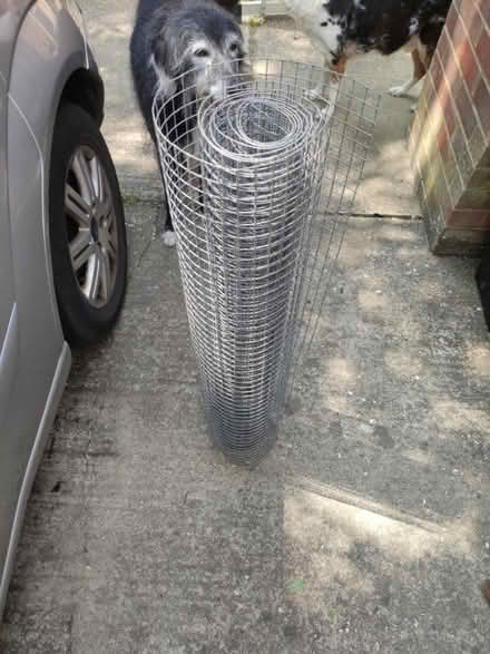 Photo of free Chicken wire (Bognor regis PO21) #1