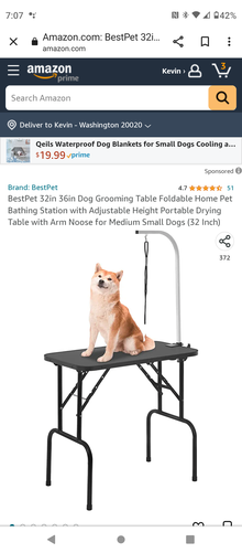 Photo of free Dog Grooming Table (Washington 20020) #1