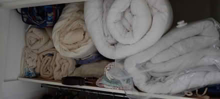 Photo of free Duvets and blankets (West Bergholt CO6) #1
