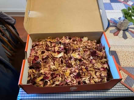 Photo of free Rose petal confetti (Farden SY8) #1