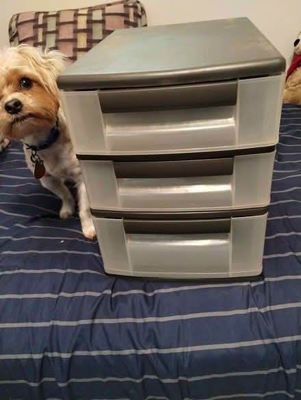 Photo of free Three tiered plastic organizer (Washington 20020) #1