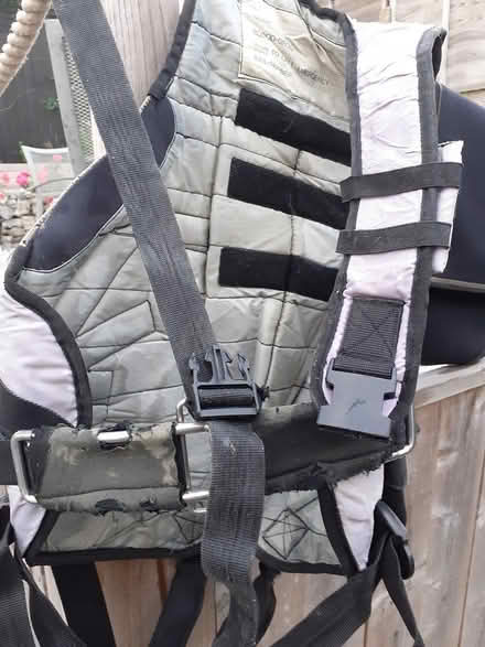 Photo of free Sailing trapeze harness (Parkstone BH15) #1