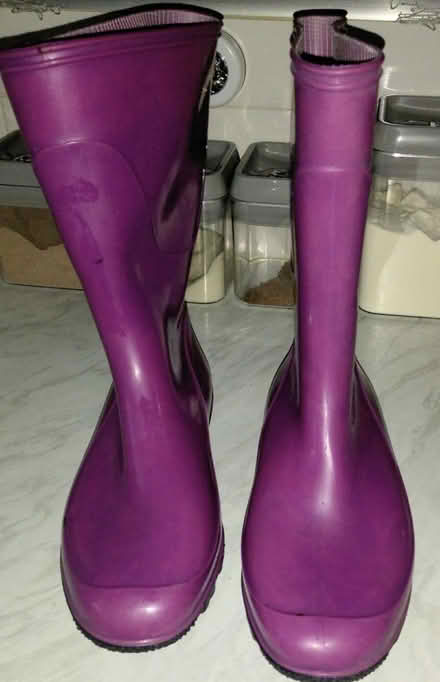 Photo of free Ladies Wellington's size ,6 (Vauxhall B7) #1