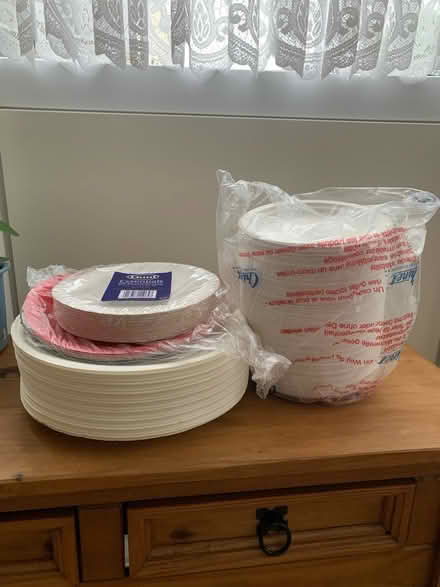 Photo of free Paper plates (ME15 off Willington street) #1