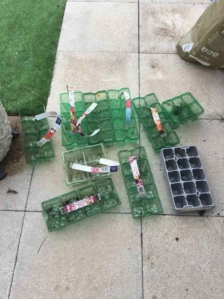 Photo of free Flower trays or for seedlings (Stoneham SO50) #1
