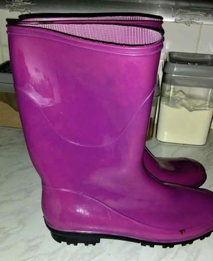 Photo of free Ladies Wellington's size ,6 (Vauxhall B7) #2