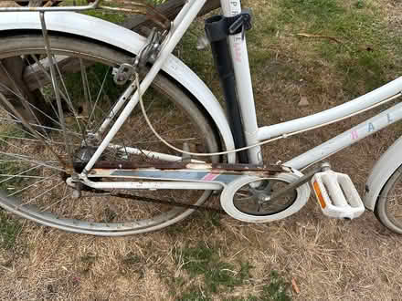 Photo of free Raleigh Caprice lady's bike (TN36) #3