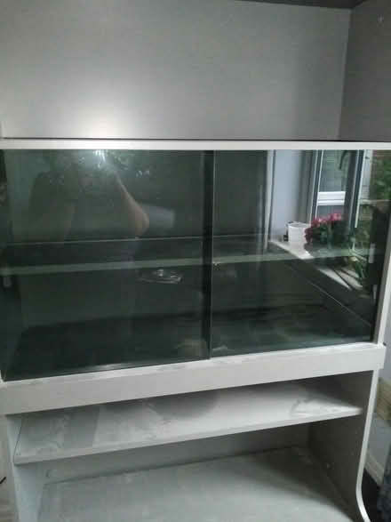 Photo of free Grey Wooden display cabinet (Wylde Green B72) #2