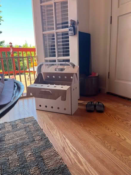 Photo of free Cardboard cat carrier (West Seattle) #1