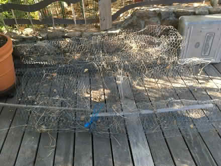 Photo of free Chicken wire- San Anselmo (San Anselmo) #1