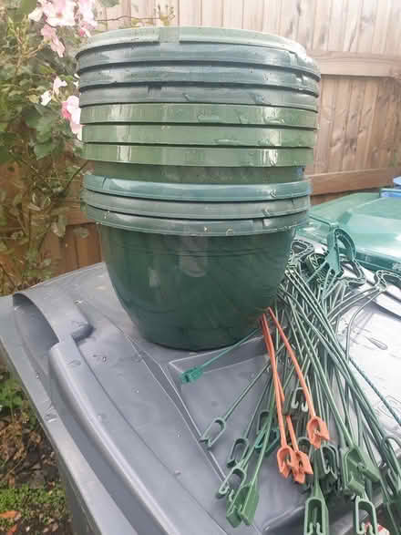 Photo of free Hanging baskets (Chorley PR7) #1