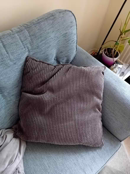 Photo of free Large grey butterfly cushion (Chesterton, Cambridge) #2