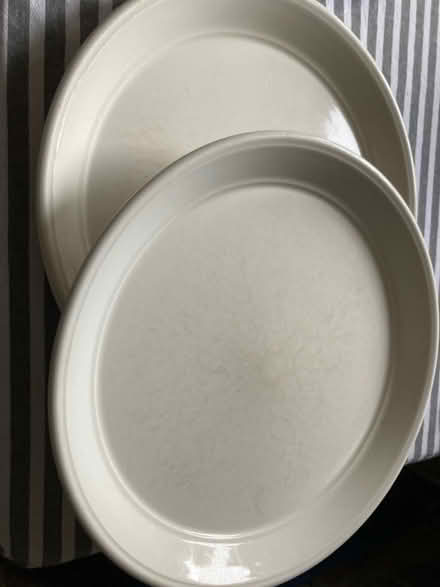 Photo of free Two large dinner plates (Heytesbury BA12) #1