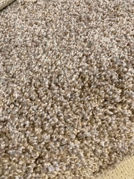 Photo of free New carpet (Mt Lebanon) #2