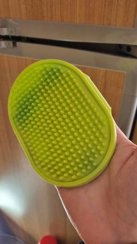 Photo of free Pet hair rubber brush (Levenshulme M19) #1