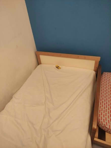Photo of free SE4 Child beds and mattresses (Brockley SE4) #4