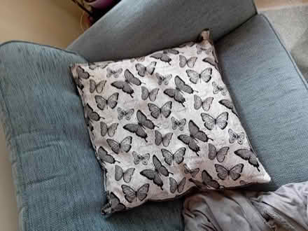 Photo of free Large grey butterfly cushion (Chesterton, Cambridge) #1