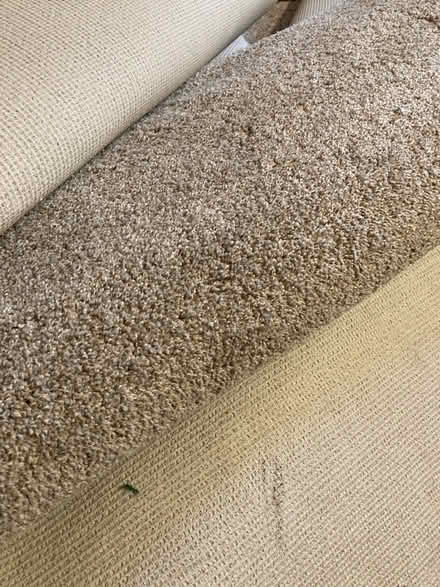 Photo of free New carpet (Mt Lebanon) #1