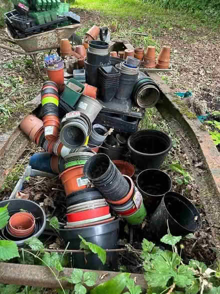Photo of free Plant pots (Chipley TQ12) #2