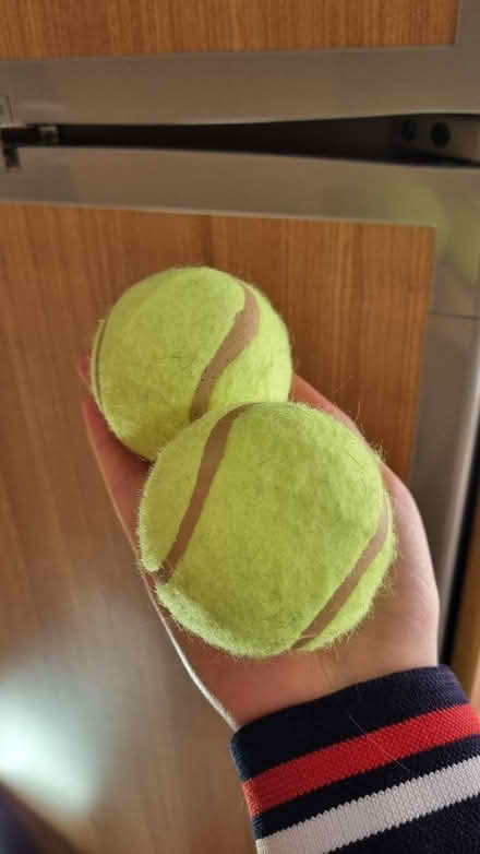 Photo of free 2 tennis balls (Levenshulme M19) #1
