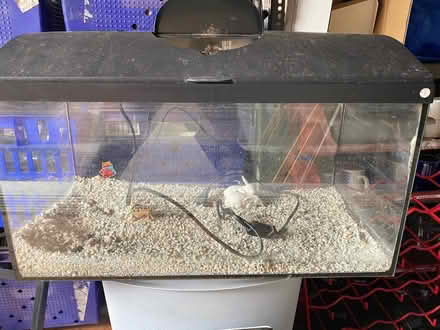 Photo of free Fish tank (Seaford) #1