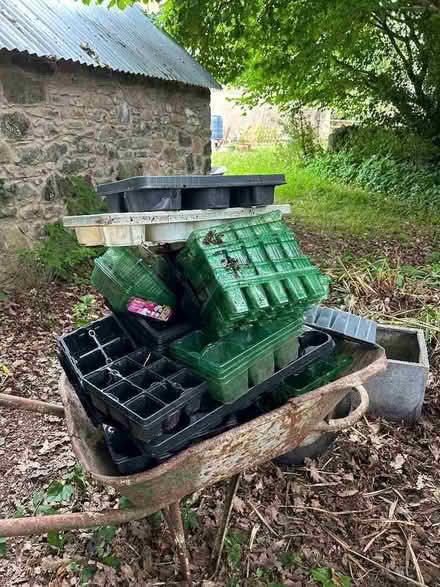 Photo of free Plant pots and seed trays (Chipley TQ12) #1