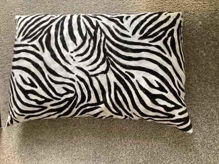 Photo of free Black animal print cushiom (Creditview & Brittannia) #1