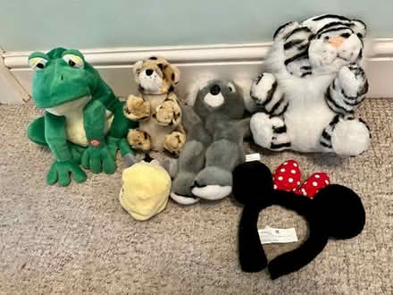 Photo of free Children’s soft toys (Saint George's CO2) #1