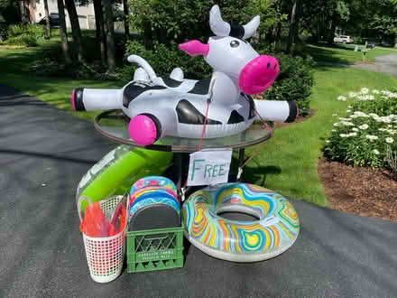 Photo of free Swimming Pool Toys (Andover) #1
