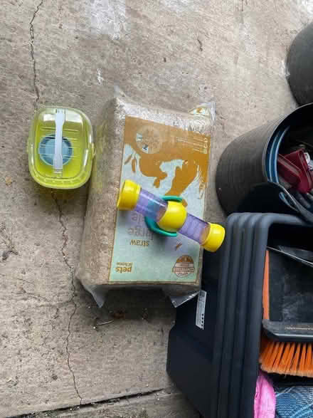 Photo of free Things for hamsters (Carlton NG4) #1