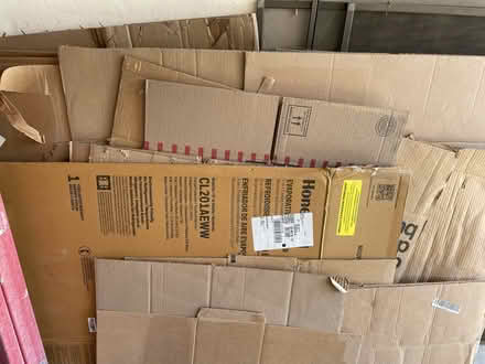 Photo of free cardboard (west altadena) #2