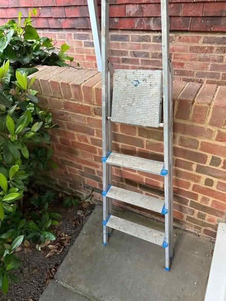 Photo of free Step ladder (Bidborough TN3) #1
