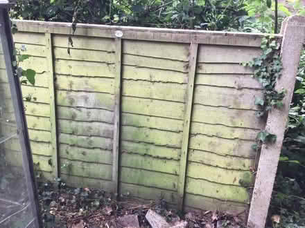 Photo of free Fence panels (Old Coulsdon CR5) #2