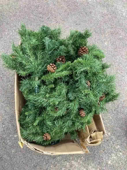 Photo of free Christmas tree (Chippenham SN15) #1