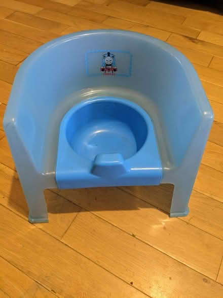 Photo of free Potty seat (Tranent EH33) #1