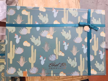 Photo of free Boxes with cactuses (Winton/Blossom area, Rochester) #3