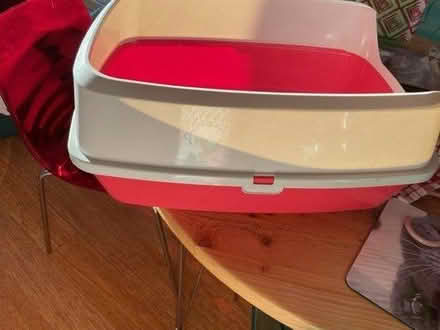 Photo of free cat litter tray or small dog (Hove) #1