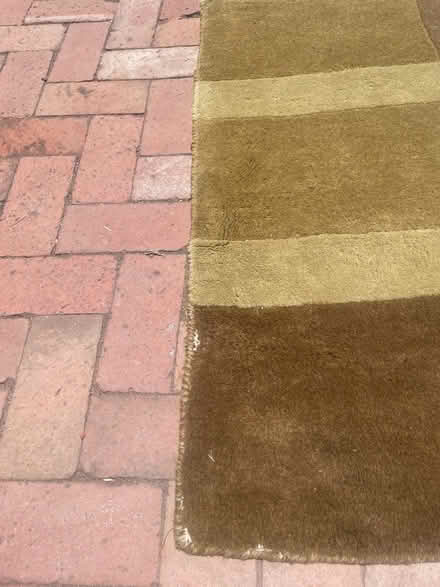 Photo of free Carpet- shades of green (Beachwood Canyon) #3