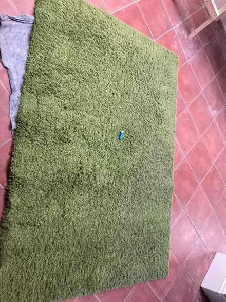 Photo of free Large shaggy green rug (Upper Holloway N4) #1