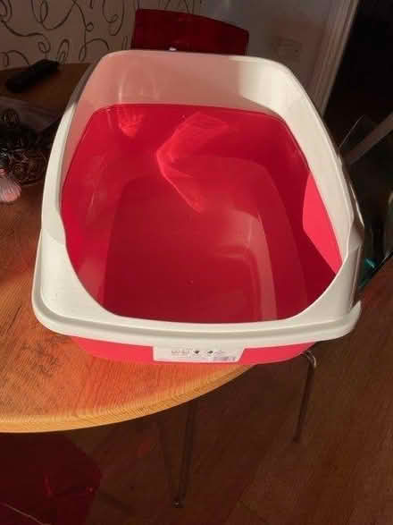 Photo of free cat litter tray or small dog (Hove) #2