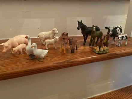 Photo of free Farm Animals (East Cobb/ Marietta) #1
