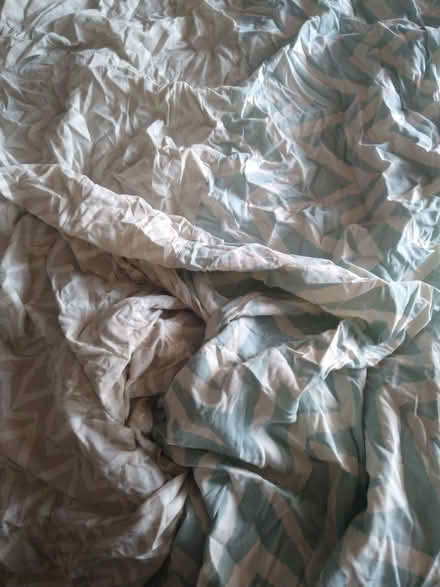 Photo of free Fabric (CF24 Splott) #1