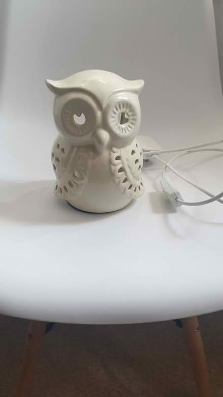 Photo of free Owl lamp and ornament (Wells somerset) #2