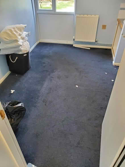 Photo of free Carpet - better than the picture looks (Norham Manor OX2) #2