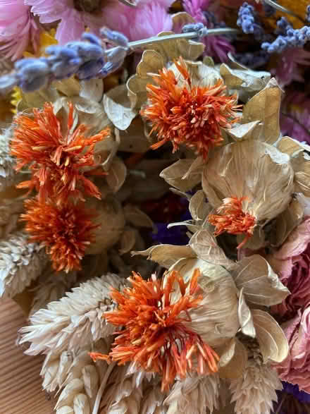 Photo of free Bouquet of dried flowers (High Street, Twerton BA2) #2