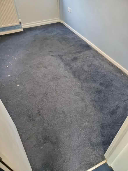 Photo of free Carpet - better than the picture looks (Norham Manor OX2) #1
